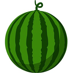 船橋スイカ